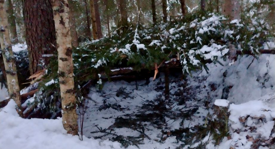 Winter shelter groepsreis Zweden Winter shelter groepsreis Zweden